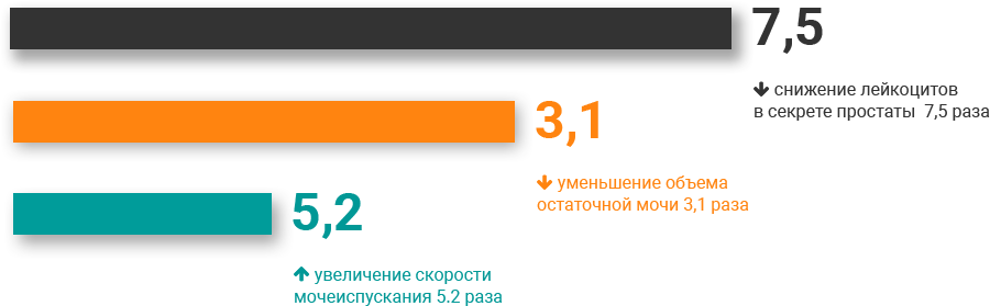 Главная Главная